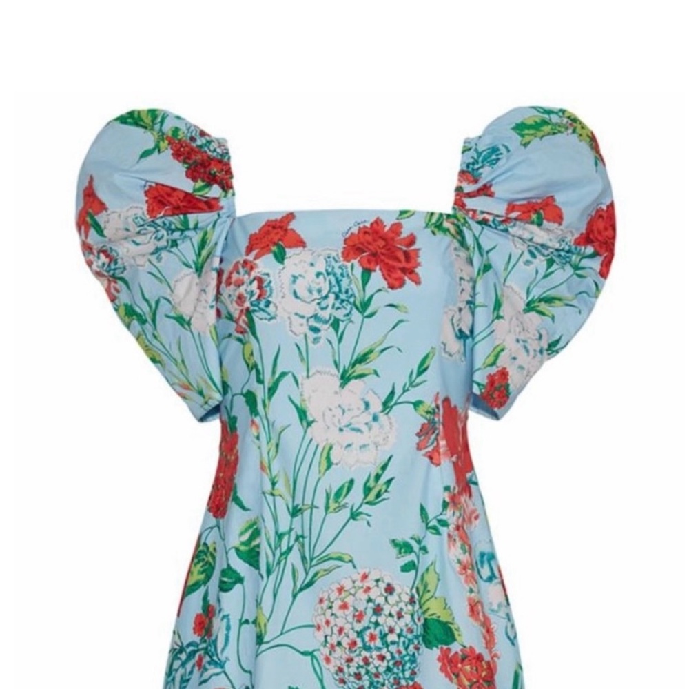 Cara Cara Blue Floral Dress